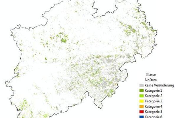 Waldschadensmonitoring mit Sentinel.