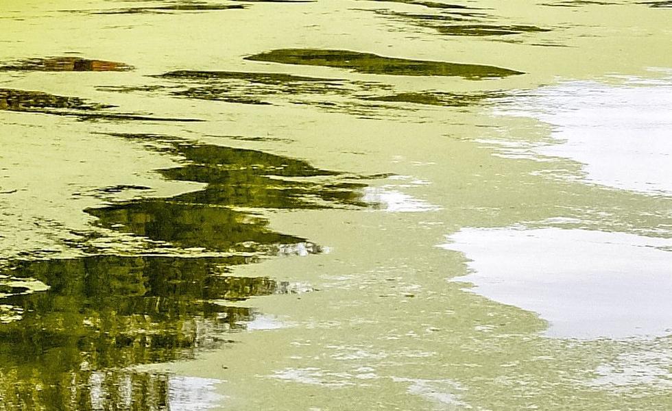 Kooperationsvorhaben für Gewässermonitoring